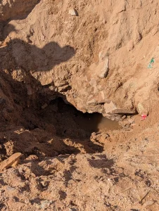 PXL_20250224_131735029